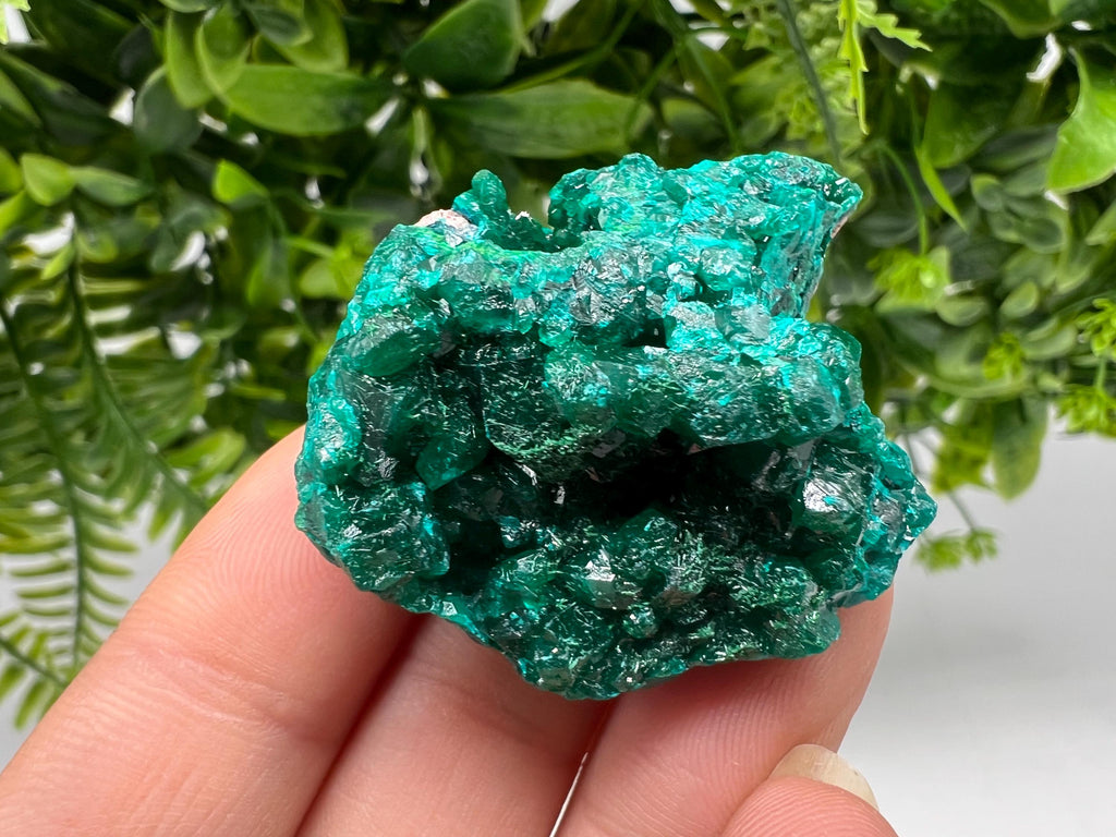 Stunning Green Dioptase from Sanda Hills,Mindouli,Pool Department,Mindouli District,Congo,green Dioptase,Dioptas Crystal,Dioptase collecting