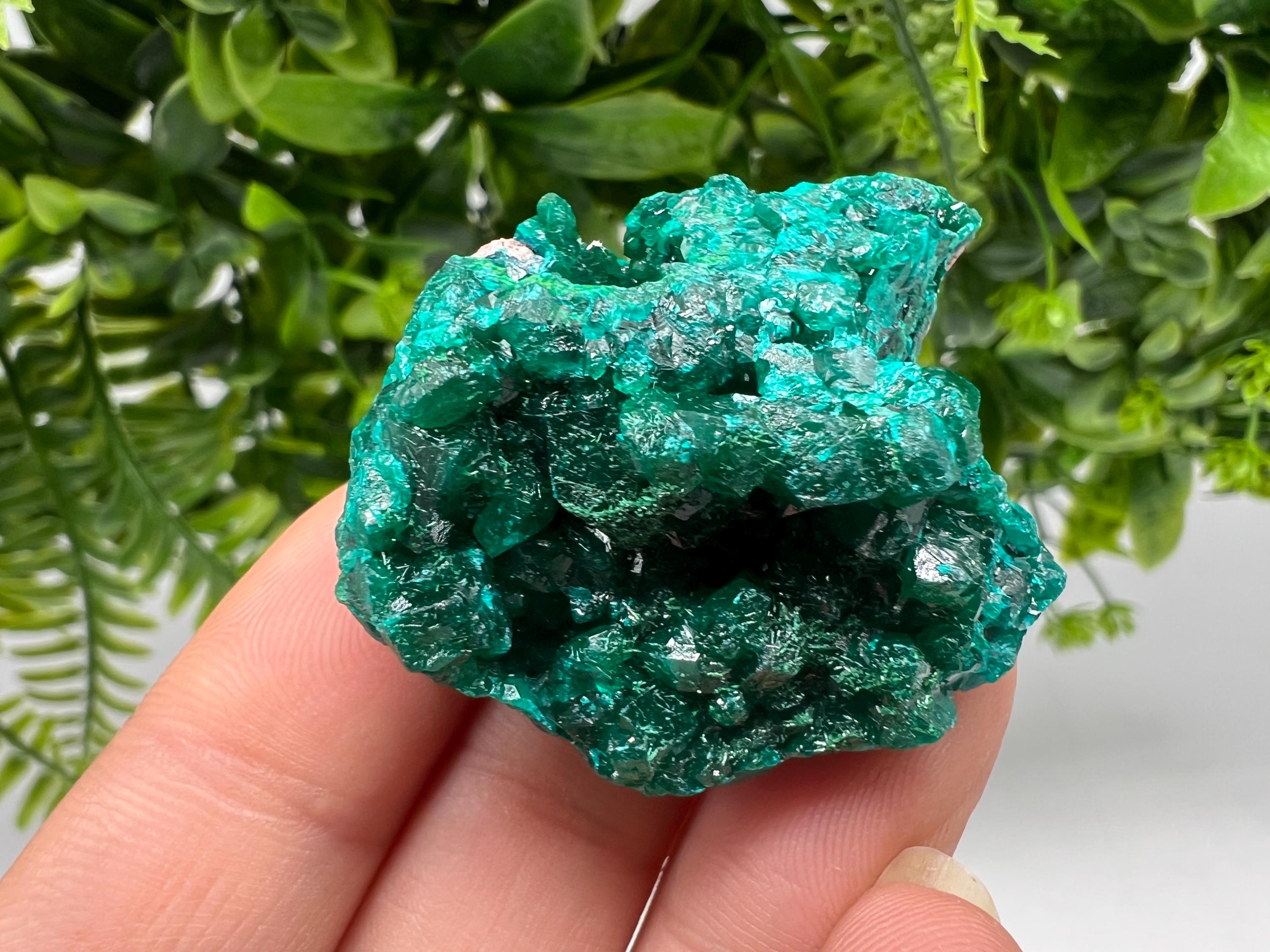 Stunning Green Dioptase from Sanda Hills,Mindouli,Pool Department,Mindouli District,Congo,green Dioptase,Dioptas Crystal,Dioptase collecting