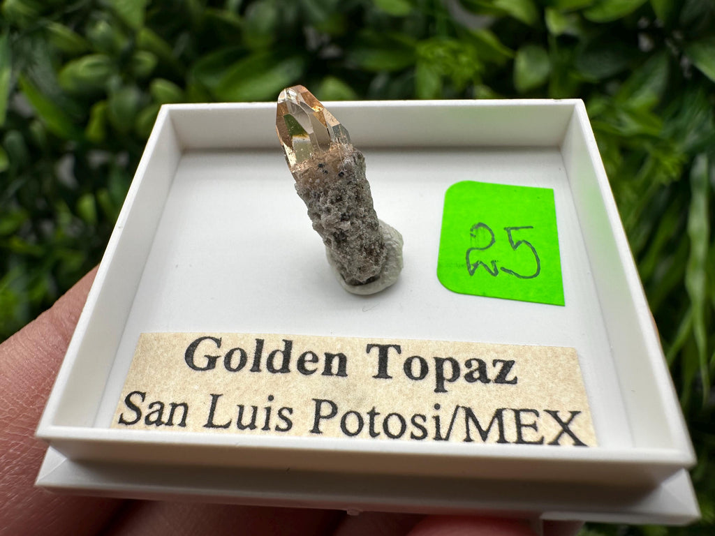 Golden Topaz Crystal, Mineral Specimen from Mexico