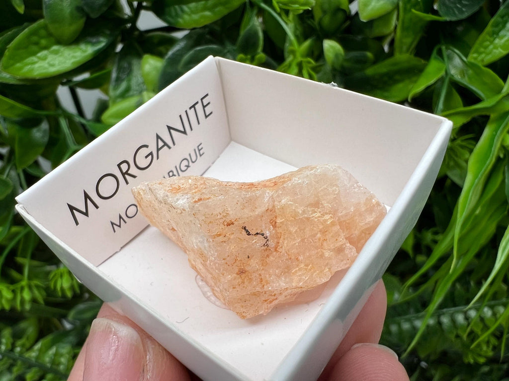 Rare Raw Morganite Specimen: Mozambique Crystal Collection (3/3.5cm)