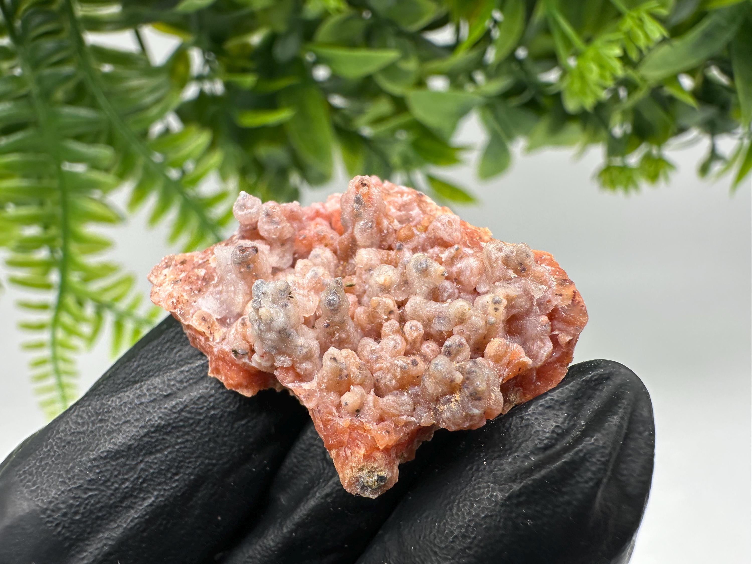 Stunning Red Chalcedony from Morocco,Morocco Minerals,Crystals,rare red Chalcedony,Red Crystal,Mineral Specimen,red minerals,souvenir gift