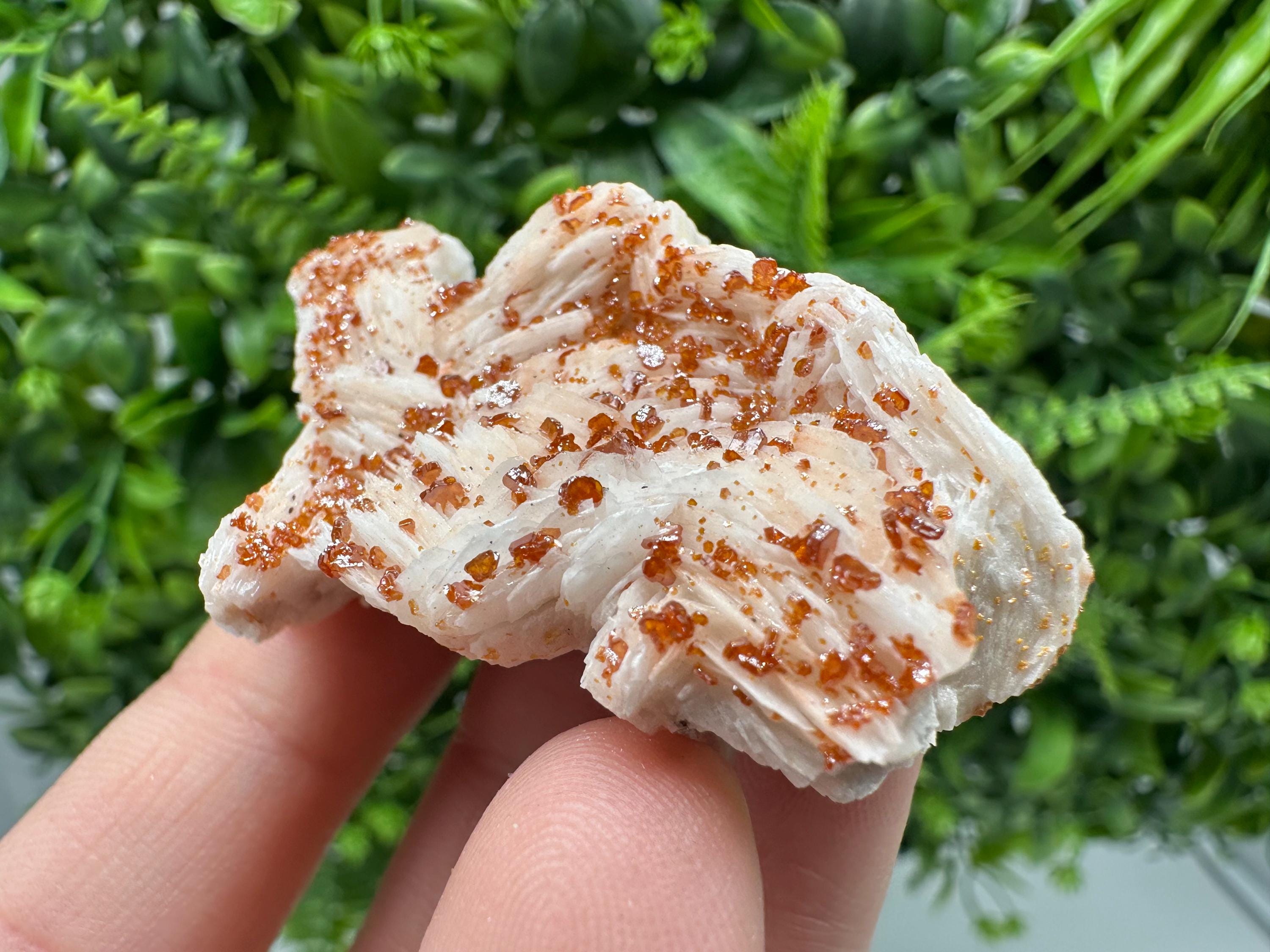Red Vanadinite on Barite, Moroccan Crystal Specimen