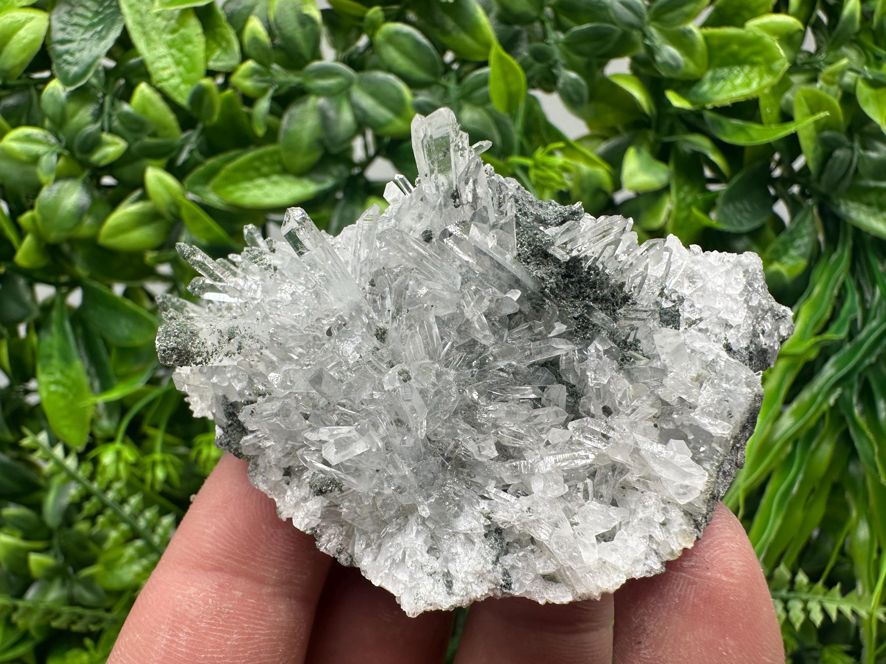 Transparent Quartz on Chlorite Matrix - Borieva Mine, Bulgaria