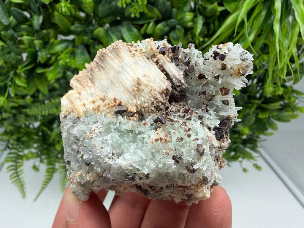 Calcite Chalcopyrite on Green Quartz Mineral Specimen, Bulgaria Collection, Natural Display