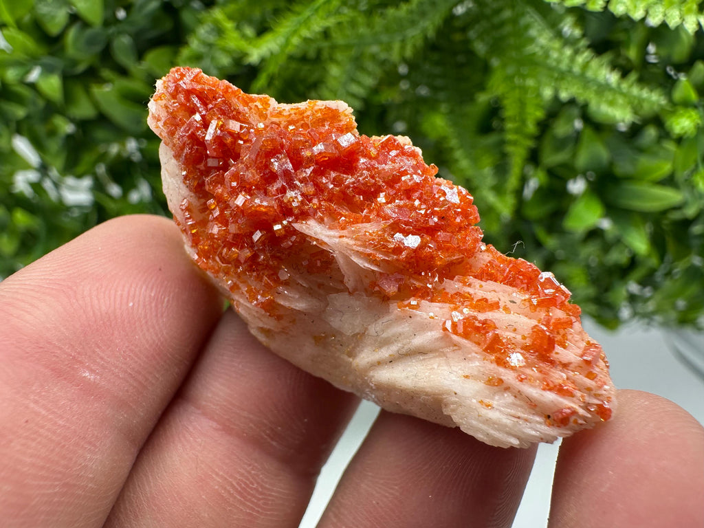 Red Vanadinite on Barite from Marocco,crystal minerals Speciment cluster Vanadinite crystal Vanadinite Geology Vanadinite cluster minerals