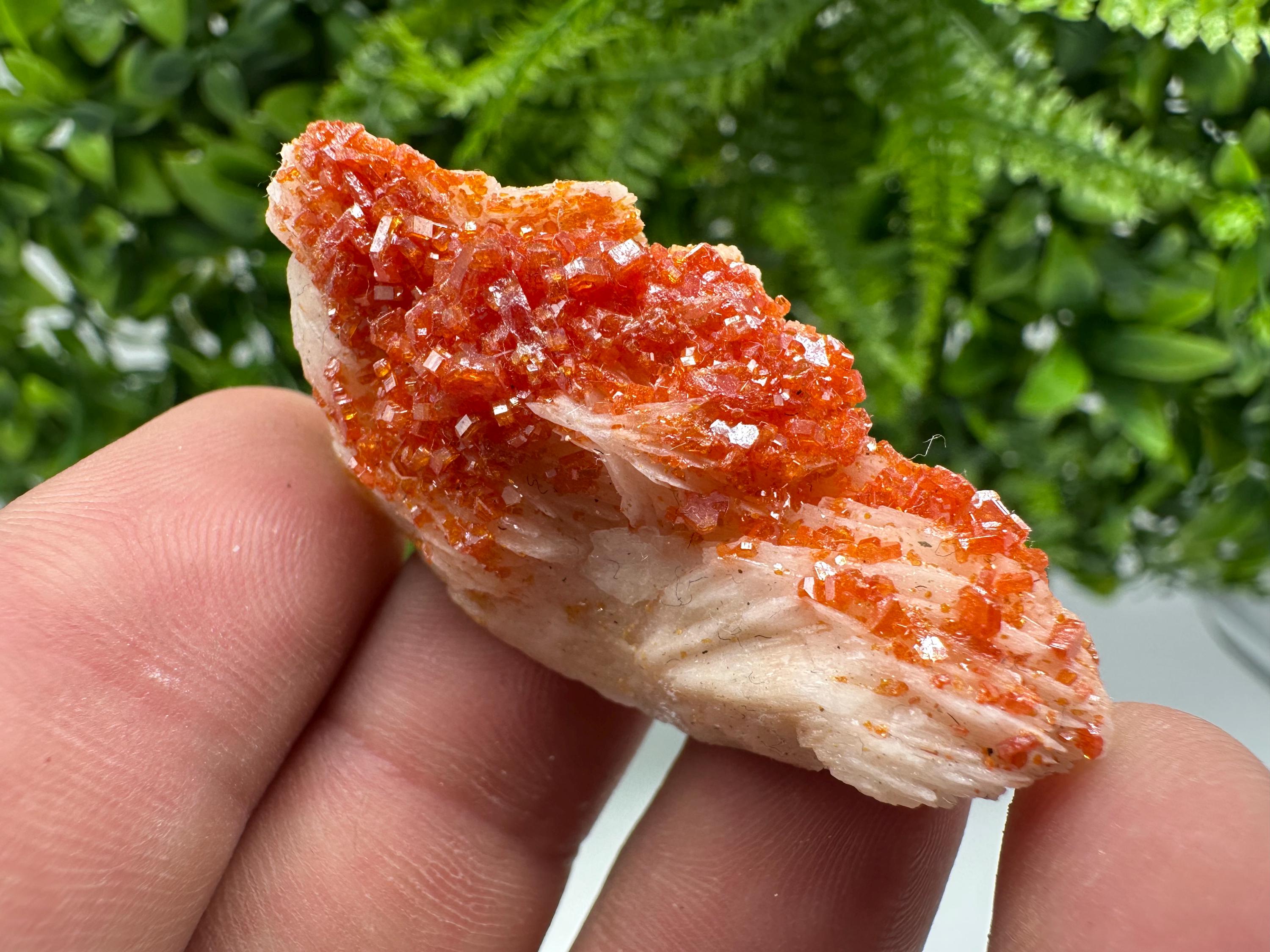 Red Vanadinite on Barite from Marocco,crystal minerals Speciment cluster Vanadinite crystal Vanadinite Geology Vanadinite cluster minerals