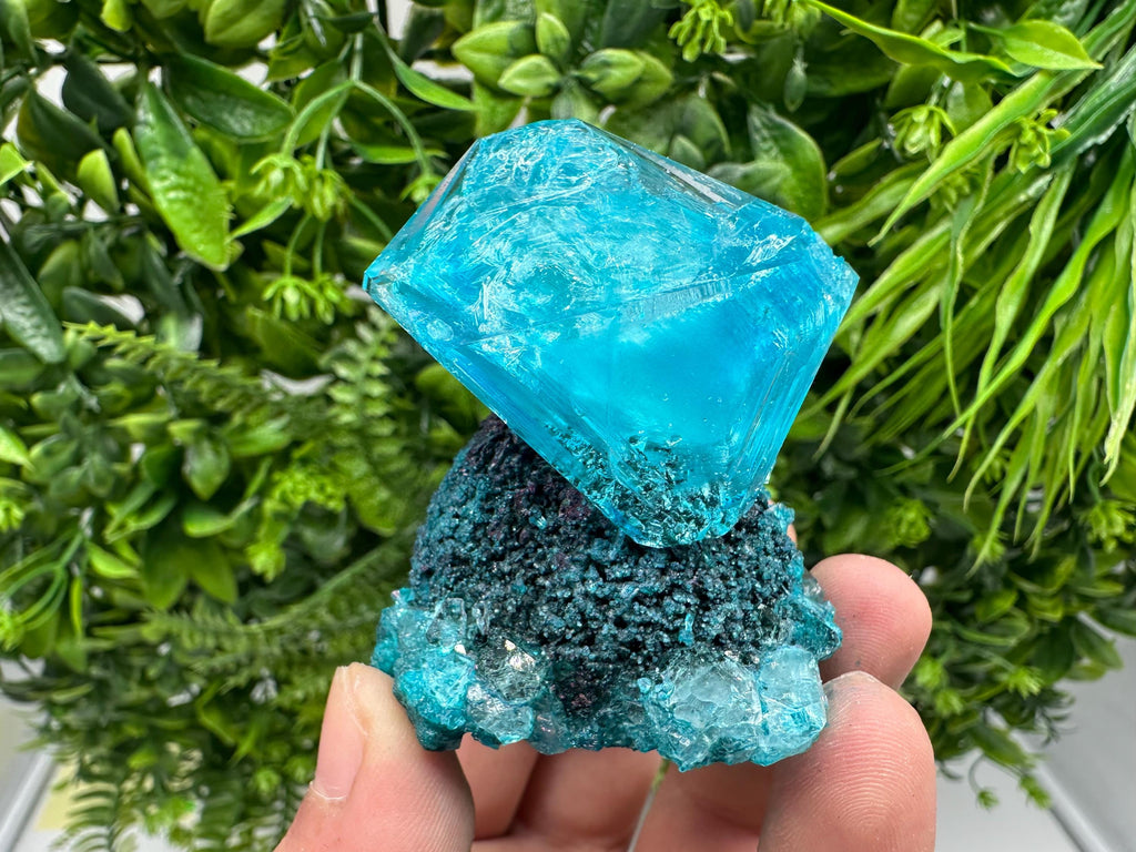 Exceptional Turquoise ALUNITE Aqua Crystal on Matrix UV Active, lab minerals