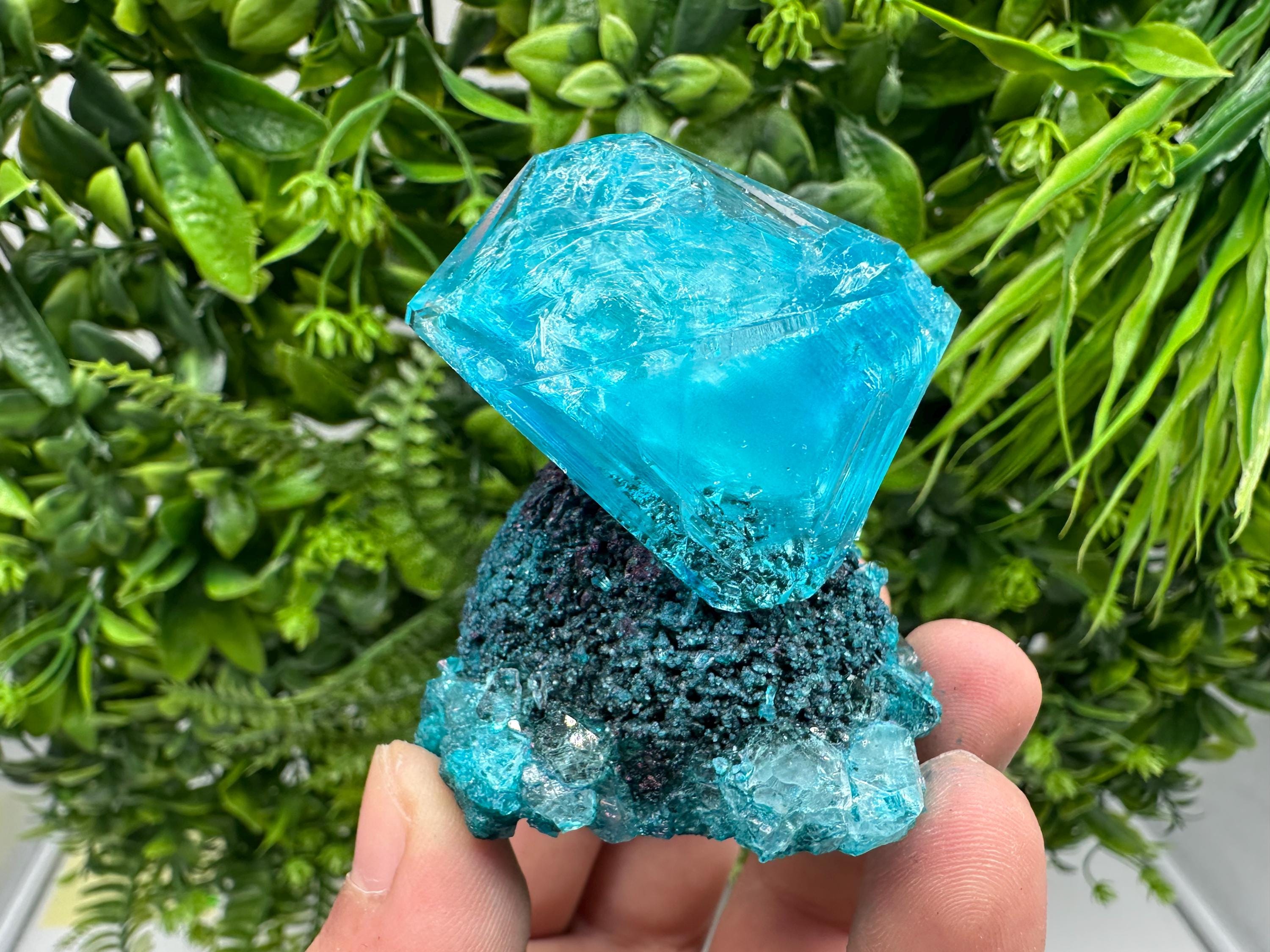 Exceptional Turquoise ALUNITE Aqua Crystal on Matrix UV Active, lab minerals