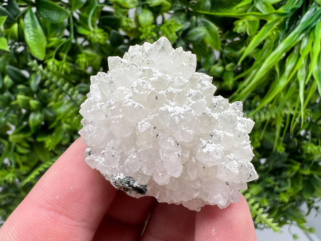 Transparent Quartz on Chlorite Matrix, Bulgaria Mineral Specimen