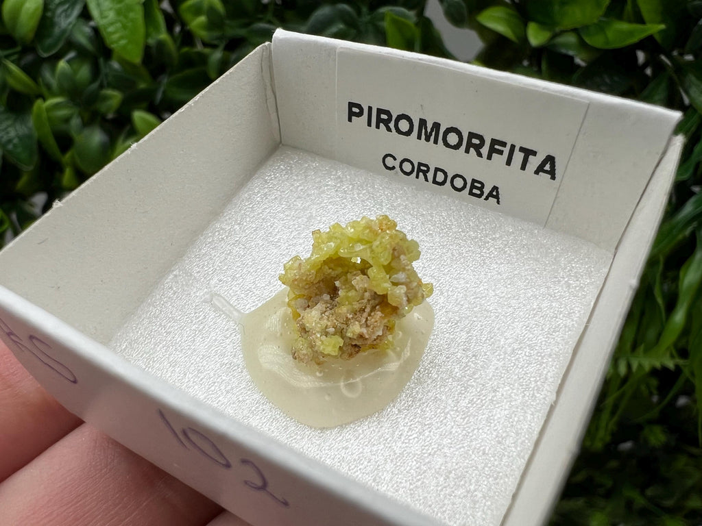 Pyromorphite Stone / Pyromorphite on Matrix / Pyromorphite Crystal / Raw Crystal / Pyromorphite Cluster / Rough Pyromorphite / Pyromorphite