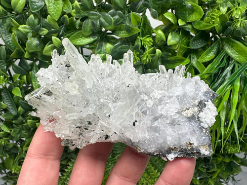 Chlorite Quartz Crystal Cluster: Borieva Mine, Bulgaria
