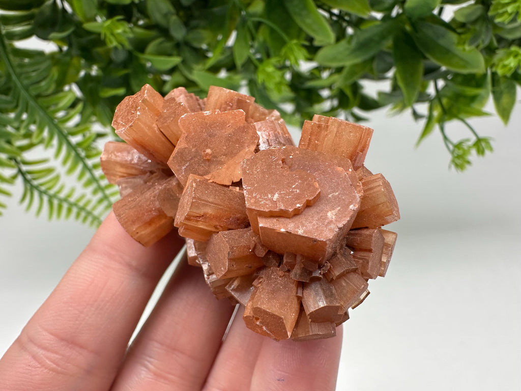 Aragonite Sputnik Cluster: Raw Moroccan Crystal Stone, Home Decor