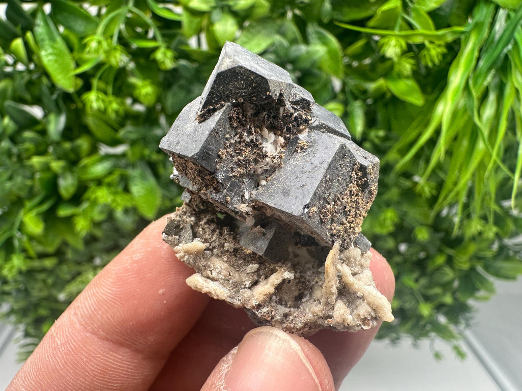 Skeleton Galena Cluster: Rare Morphology Crystal Mineral, Bulgaria