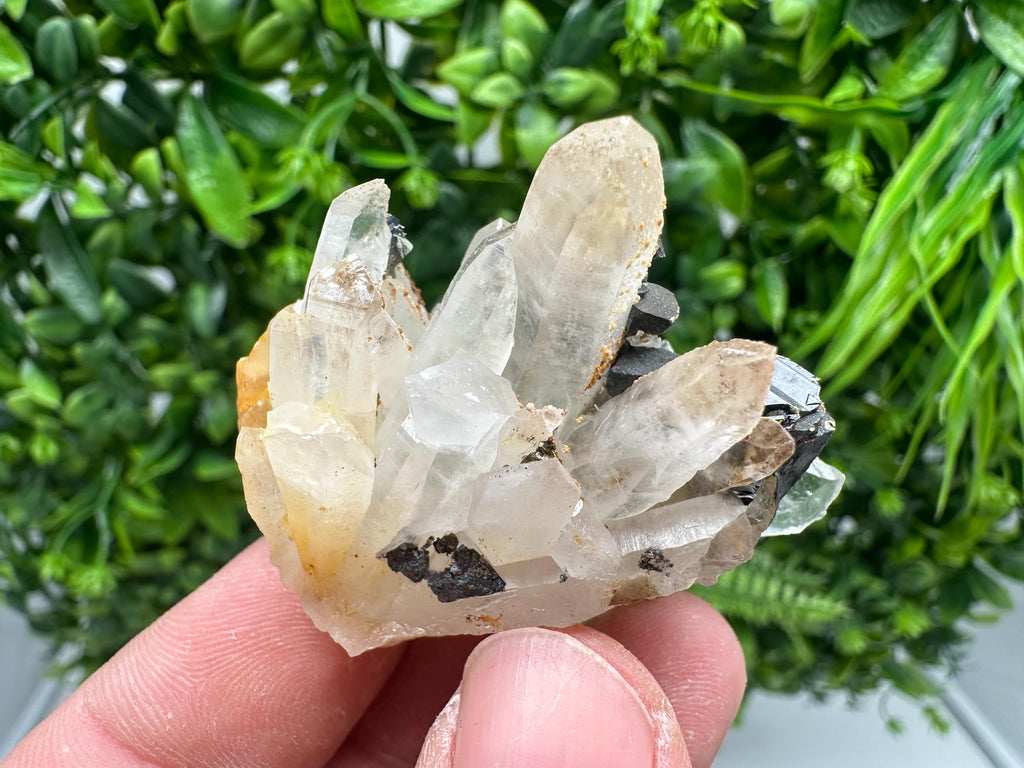 Transparent Quartz whit Siderite 9th September mine Bulgaria natural minerals souvenir crystal stone gift minerals collection rock