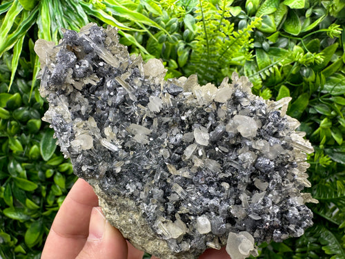 Calcite Quartz on Galena Mineral Specimen: Borieva Mine, Bulgaria