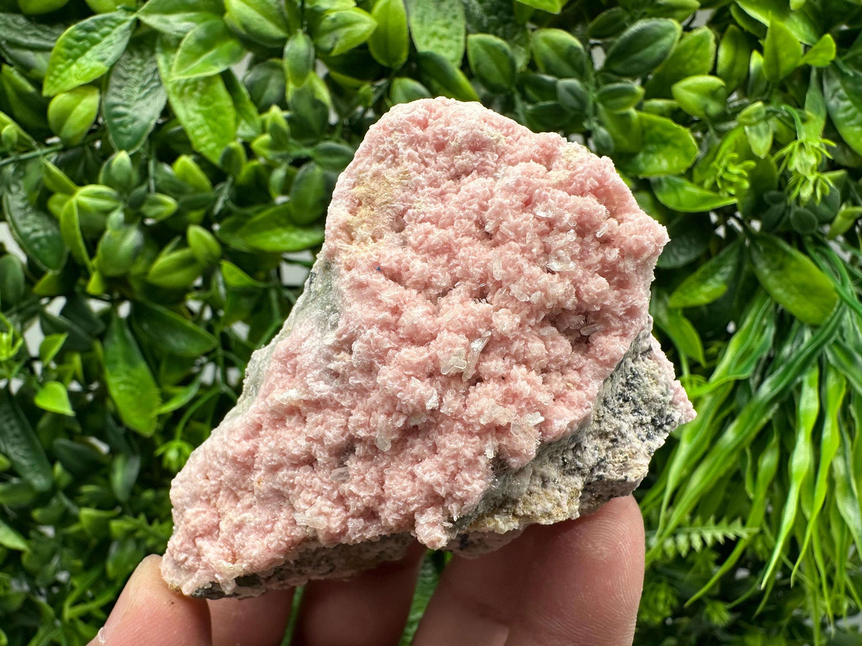 Rhodochrosite on Quartz, Starnica Mine, Bulgaria