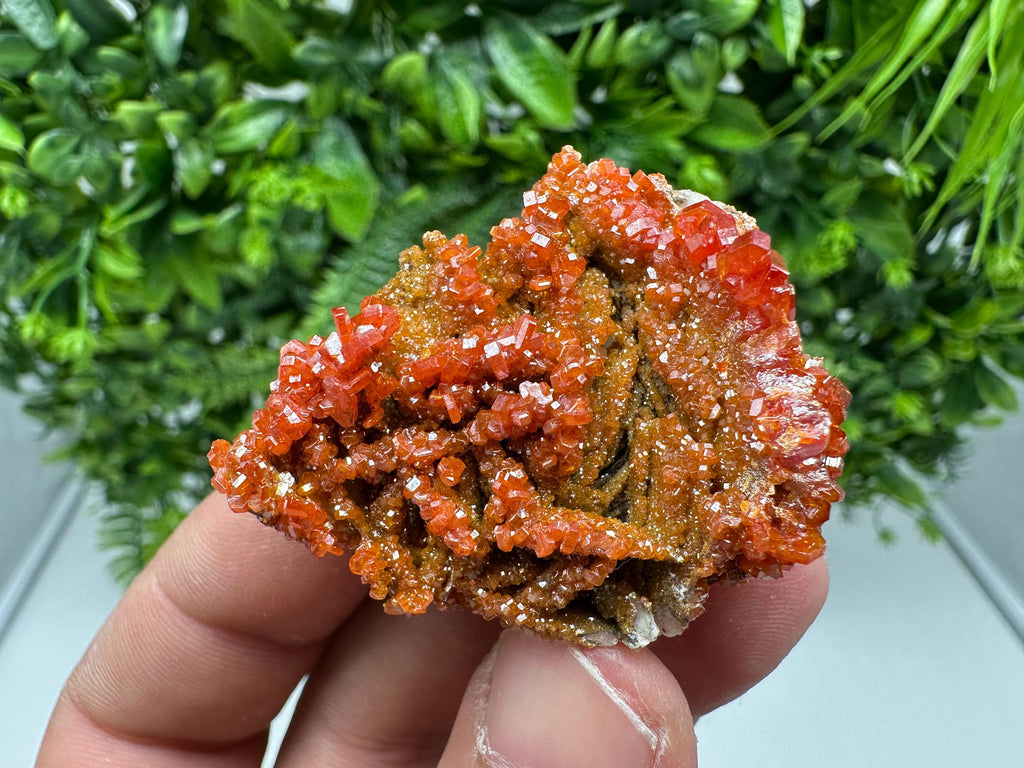 Red Vanadinite on Barite from Marocco,crystal minerals Speciment cluster Vanadinite crystal Vanadinite Geology Vanadinite cluster minerals