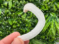 White Selenite Gypsum "Ram's Horn'' Selenite,from Guizhou,China,perfect Shape and Luster,Fluorescent Selenite Gypsum,minerals specimen,colle
