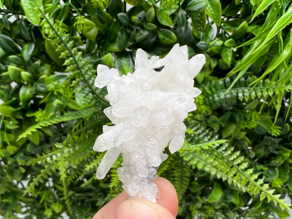 Wonderful Transparent Quartz on Chlorite Matrix,From Borieva mine,Madan,Bulgaria,Quartz,Quartz crystal,mineral specimen,collection quartz