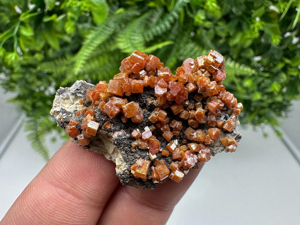 Red Vanadinite on Barite from Marocco,crystal minerals Speciment cluster Vanadinite crystal Vanadinite Geology Vanadinite cluster minerals