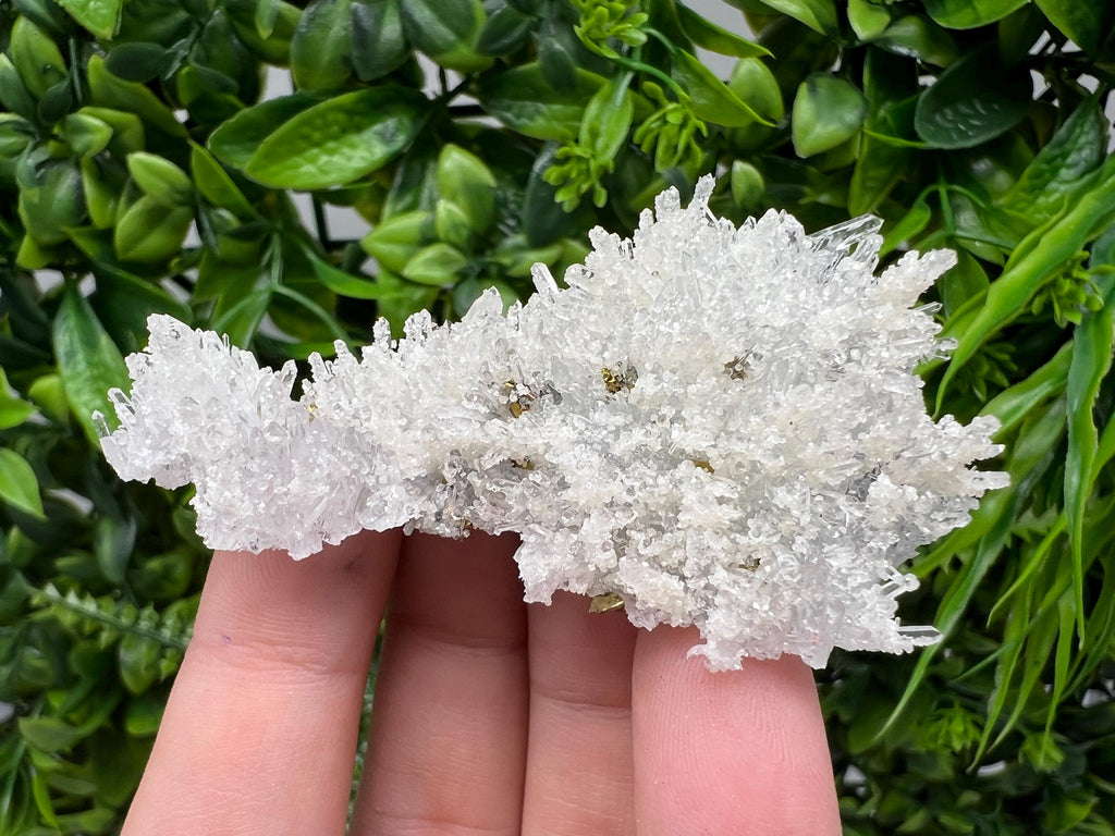 Wonderful Transparent Quartz on Chlorite Matrix,From Borieva mine,Madan,Bulgaria,Quartz,Quartz crystal,mineral specimen,collection quartz