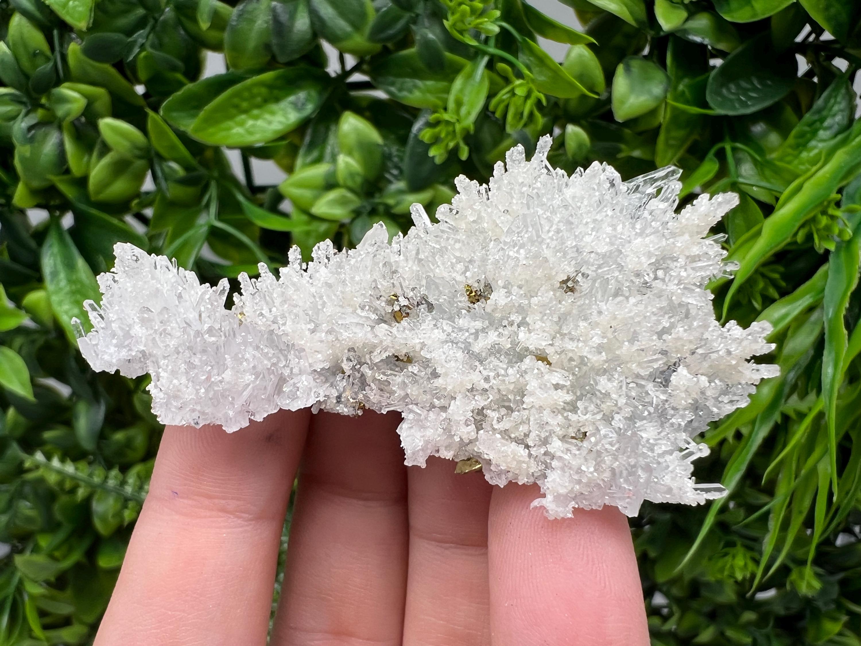 Wonderful Transparent Quartz on Chlorite Matrix,From Borieva mine,Madan,Bulgaria,Quartz,Quartz crystal,mineral specimen,collection quartz