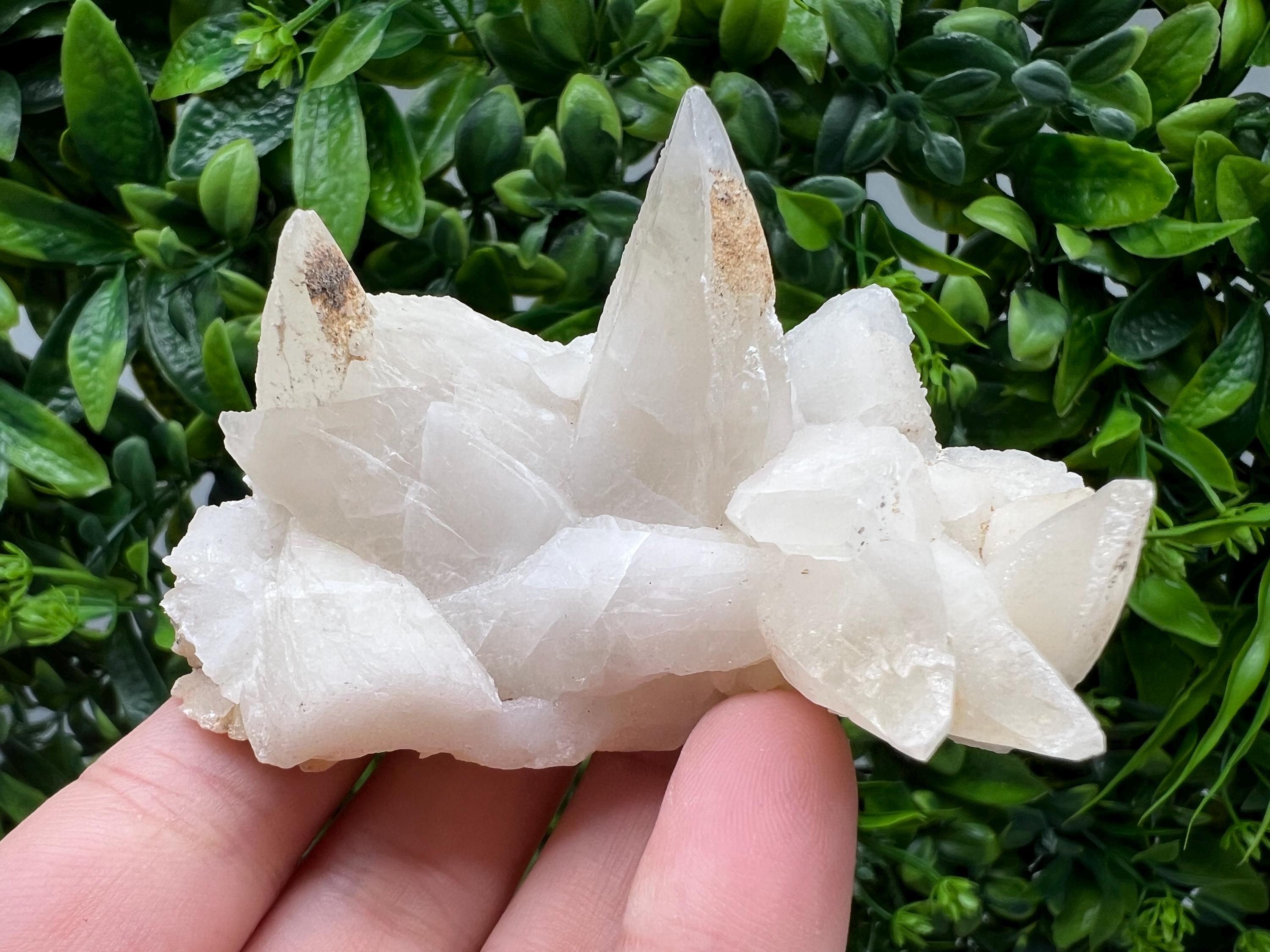 Calcite on Green Quartz: Laki Bulgaria Healing Crystal