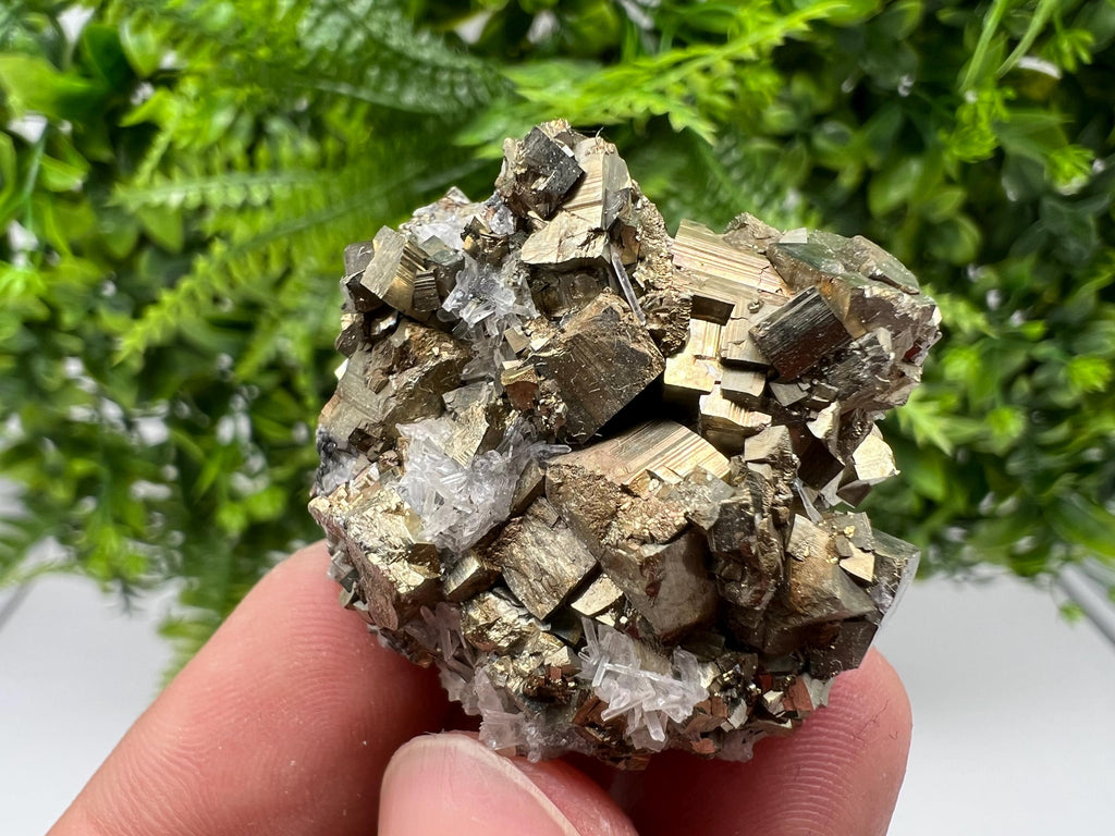 Rainbow Pyrite on Quartz, Natural Crystal Mineral Specimen, Borieva Bulgaria