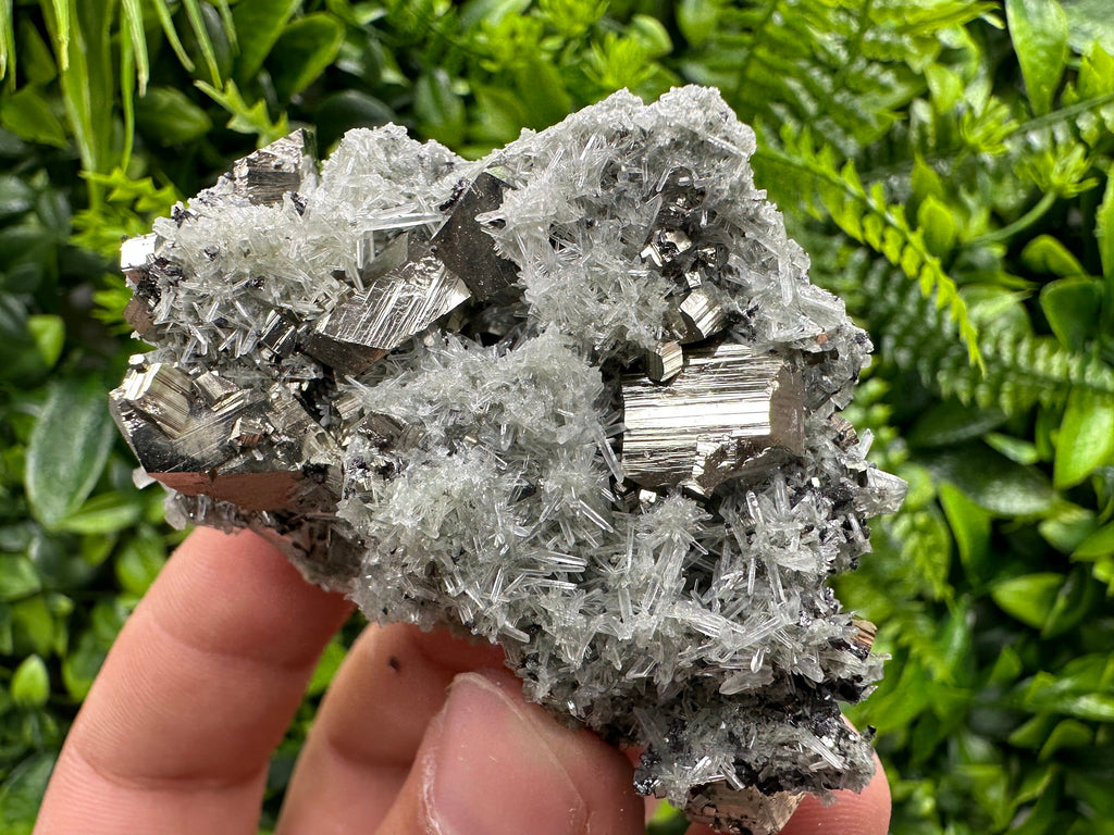 Pyrite on Quartz with Chlorite: Natural Crystal Home Decor from Bulgaria