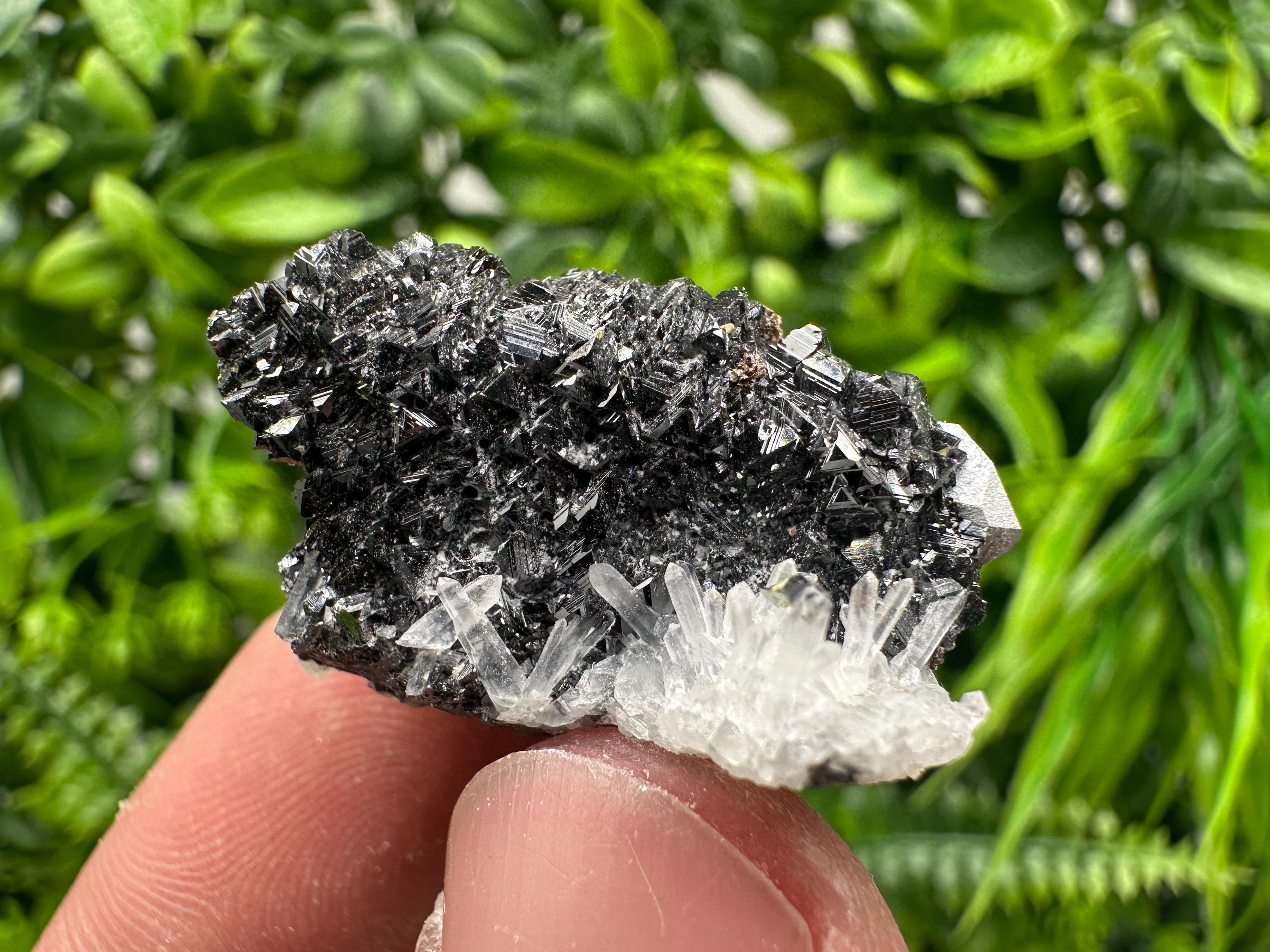 Sphalerite on Green Quartz, Borieva Mine Mineral Specimen