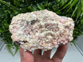 Pink Rhodochrosite Crystal, Starnica Mine, Bulgaria, Mineral Decor