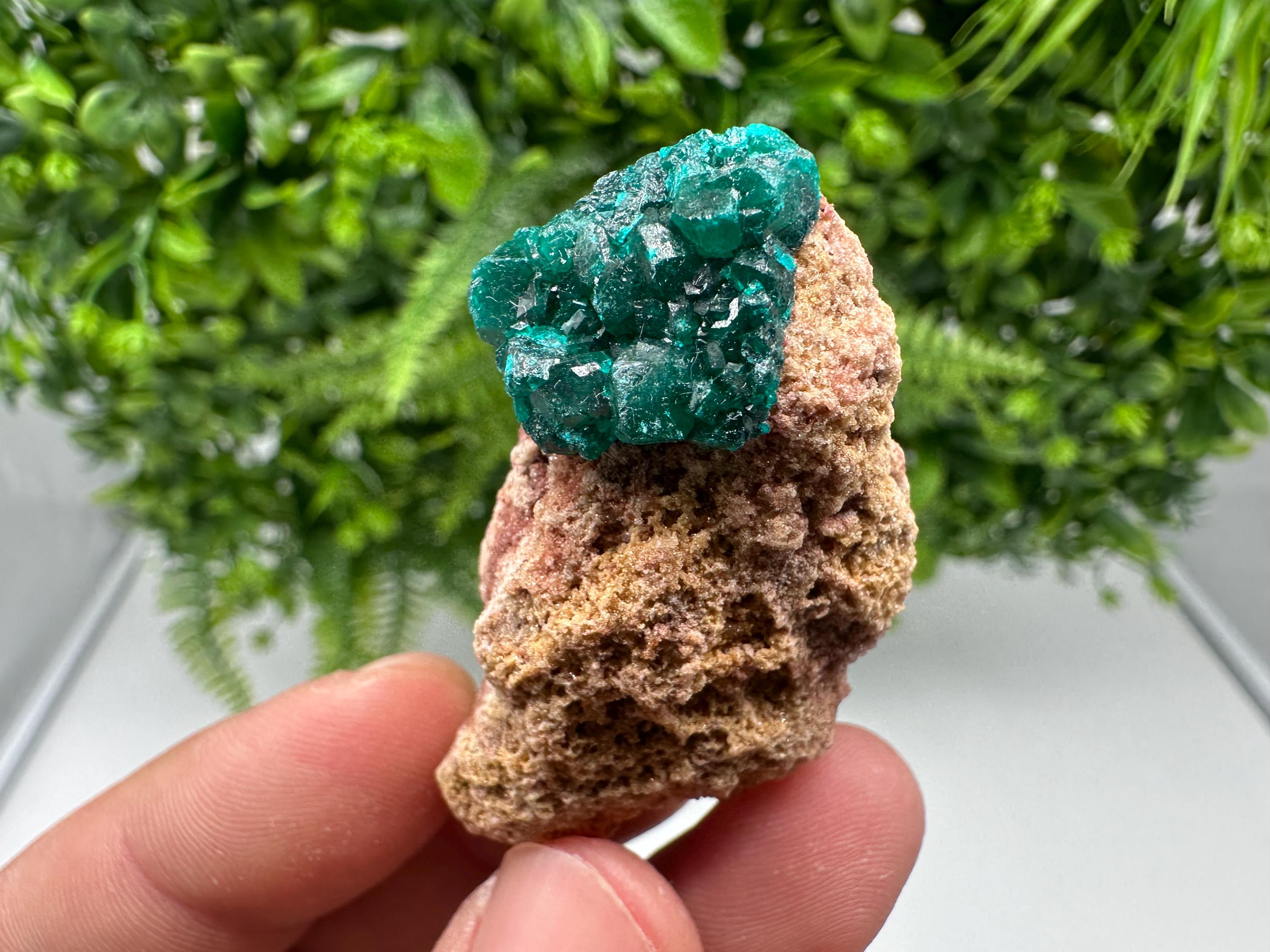 Stunning Green Dioptase from Sanda Hills,Mindouli,Pool Department,Mindouli District,Congo,green Dioptase,Dioptas Crystal,Dioptase collecting