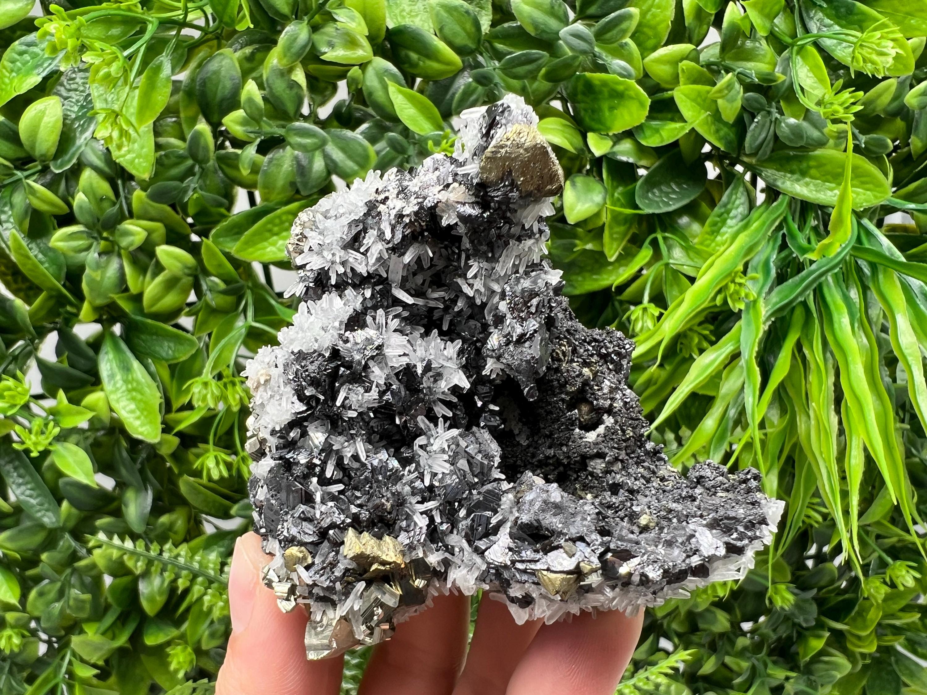 Chalcopyrite with Sphalerite on Quartz, Borieva Bulgaria