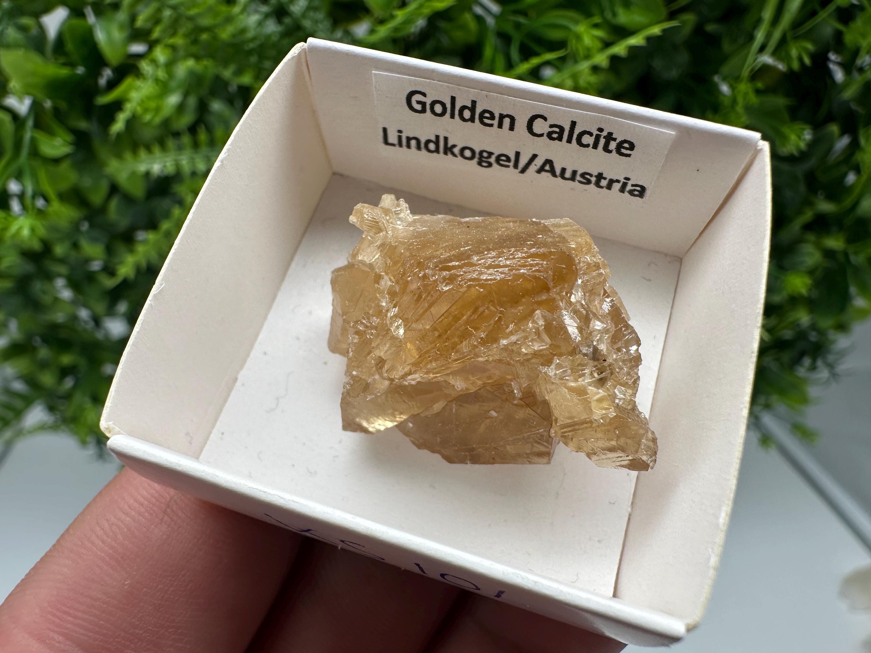 Raw Honey Calcite Crystal: Rough Golden Stone (3.5/2.5 cm)