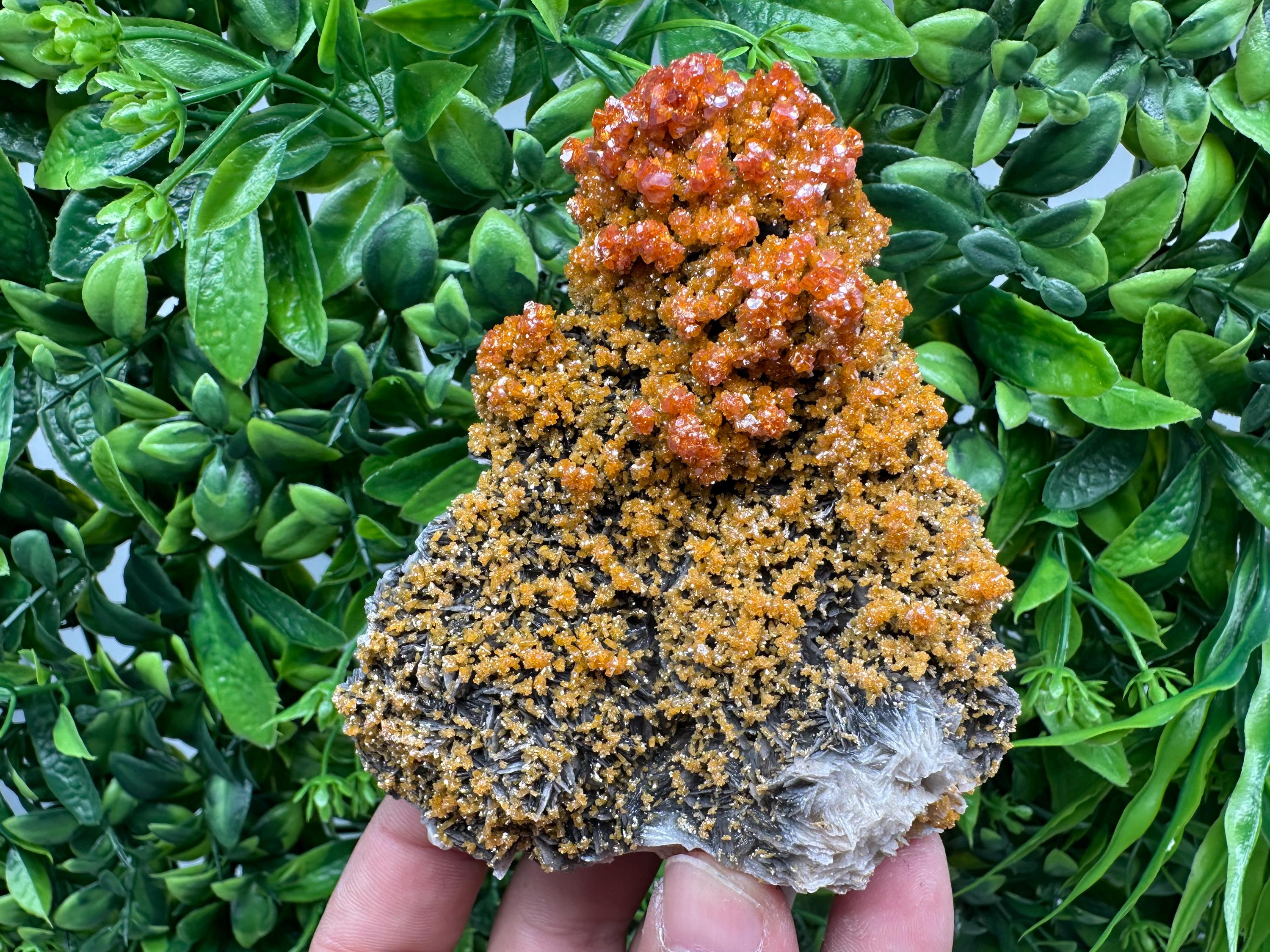 VERY Rare red Vanadinite on Barite whit Goethite from Marocco,crystal minerals Speciment cluster Vanadinite crystal Vanadinite Geology Vanad