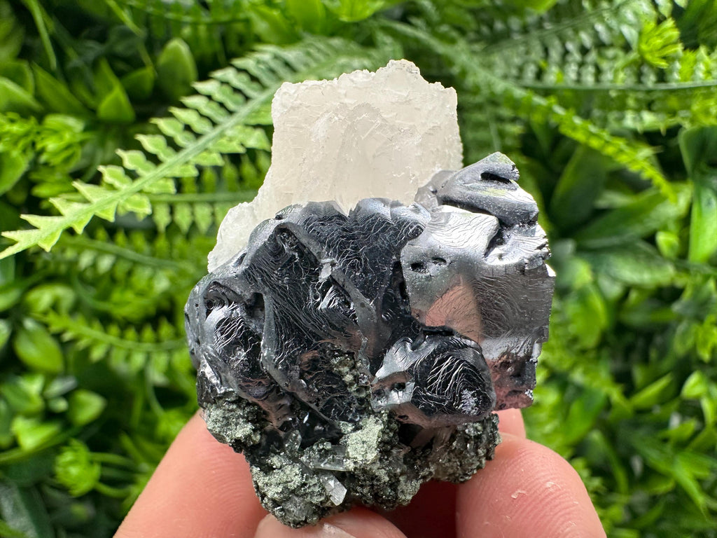 Shiny Galena with Calcite on Quartz, Chlorite Specimen