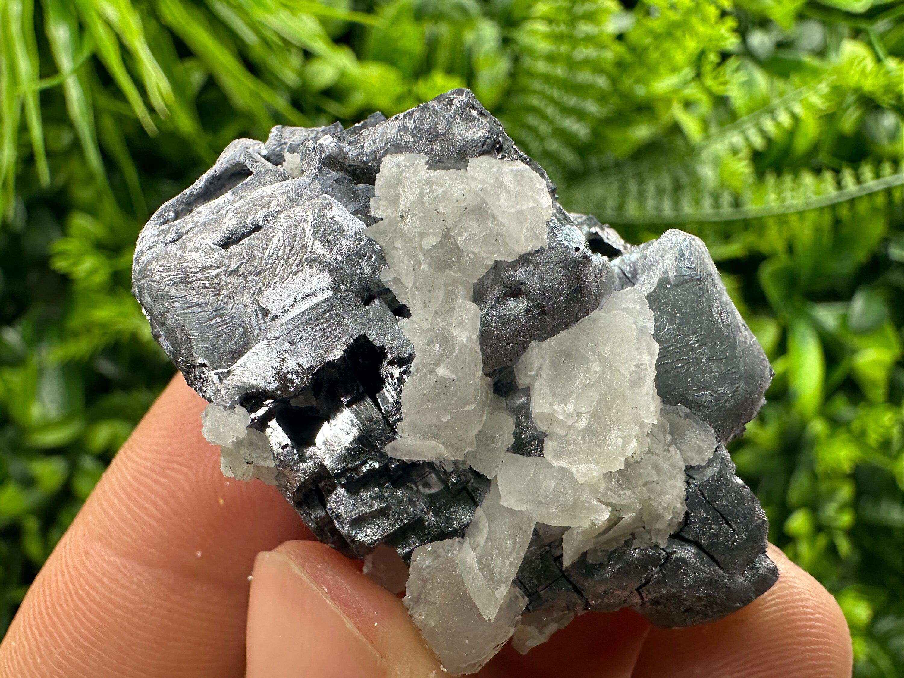 Galena Cluster: Borieva Mine, Madan, Bulgaria