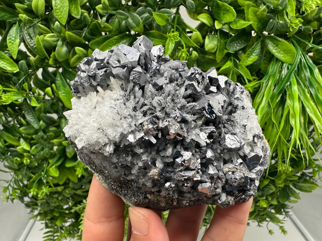 Galena Sphalerite Quartz Mineral Specimen: Krushev Dol Mine