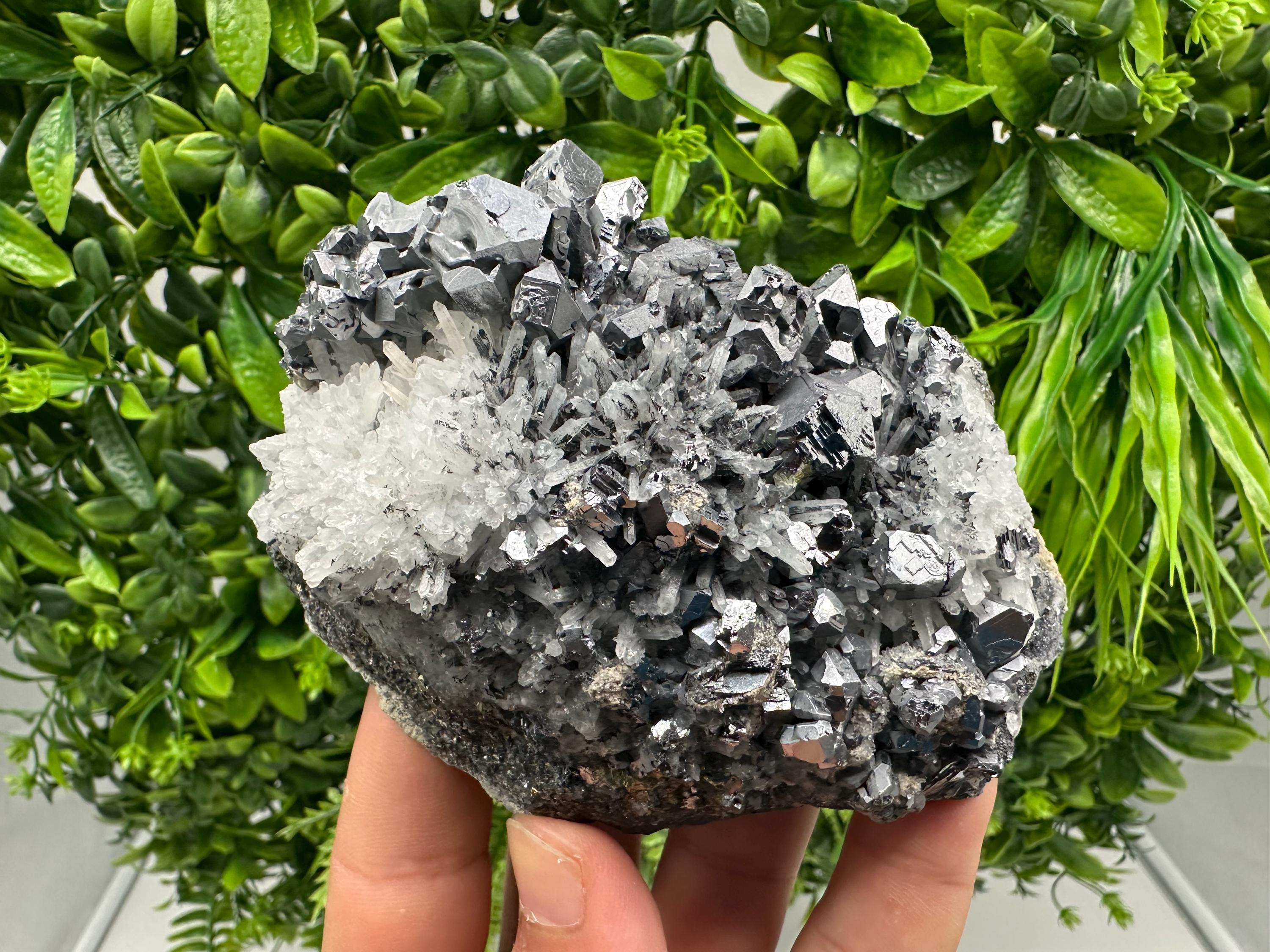 Galena Sphalerite Quartz Mineral Specimen: Krushev Dol Mine
