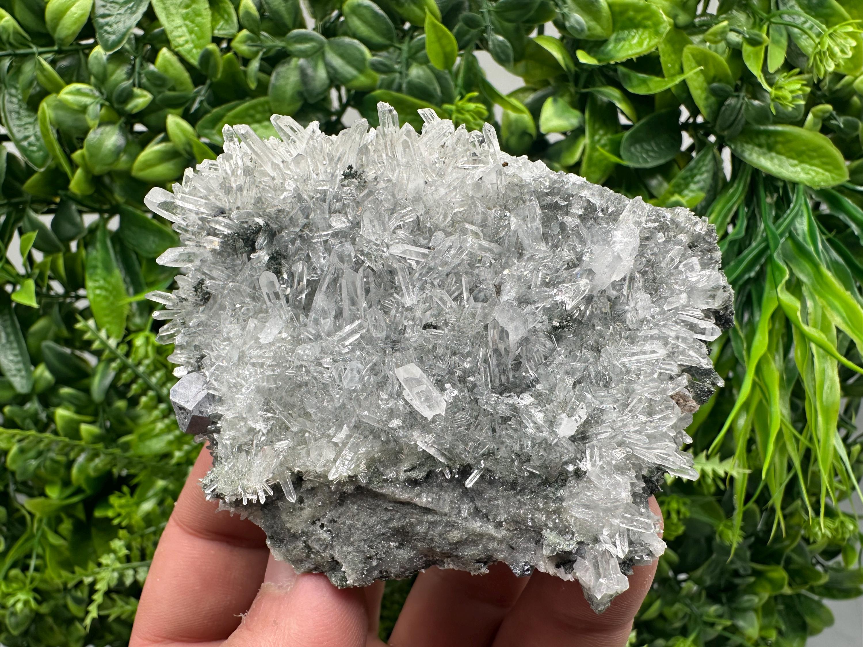 Quartz Crystal with Galena, Chlorite Matrix Mineral Specimen