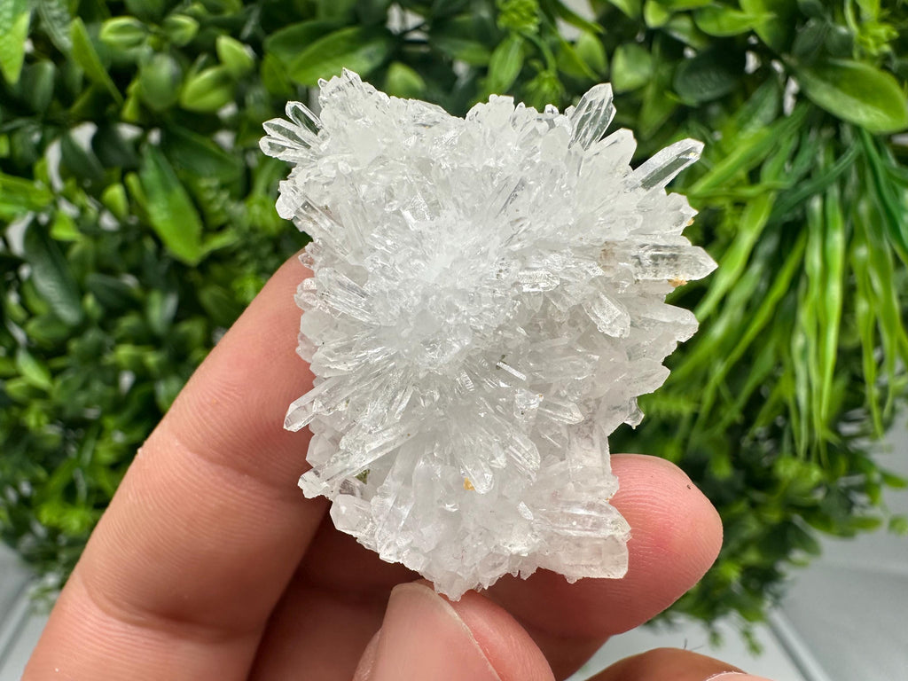 Transparent Quartz on Chlorite Matrix, Borieva Mine, Bulgaria