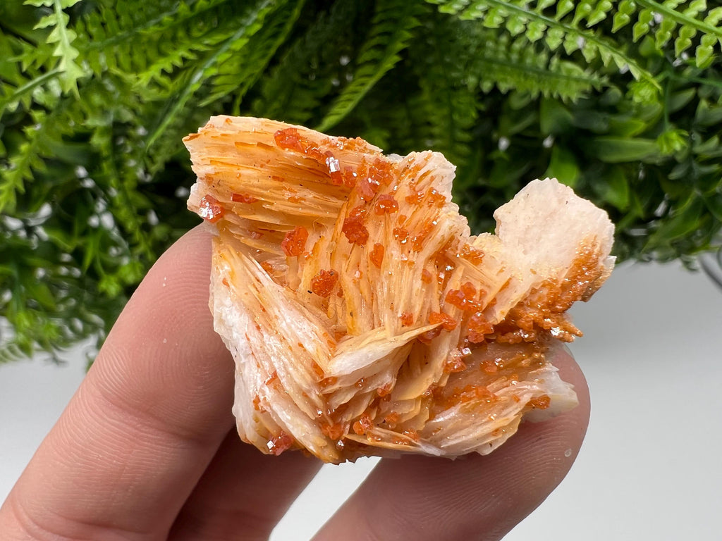 Red Vanadinite on Barite, Morocco Crystal Mineral Specimen