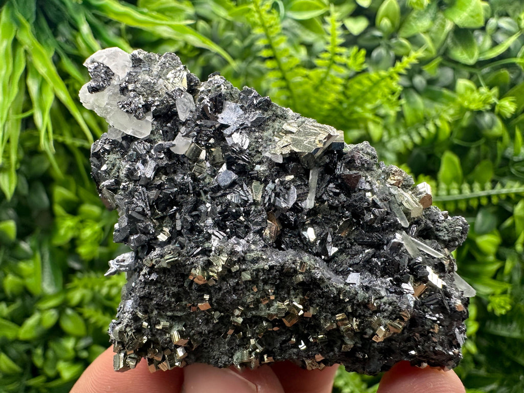 Sphalerite on Quartz with Pyrite, Borieva Mine Mineral Specimen