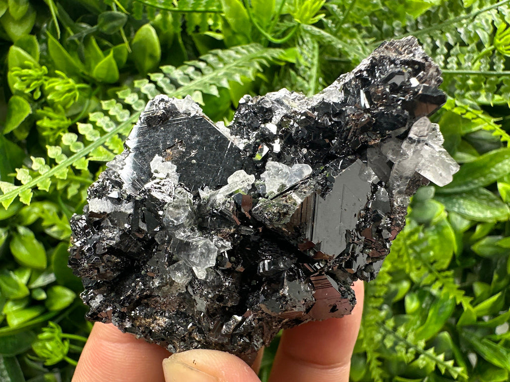 Borieva Sphalerite on Quartz: Rare Mineral Cluster