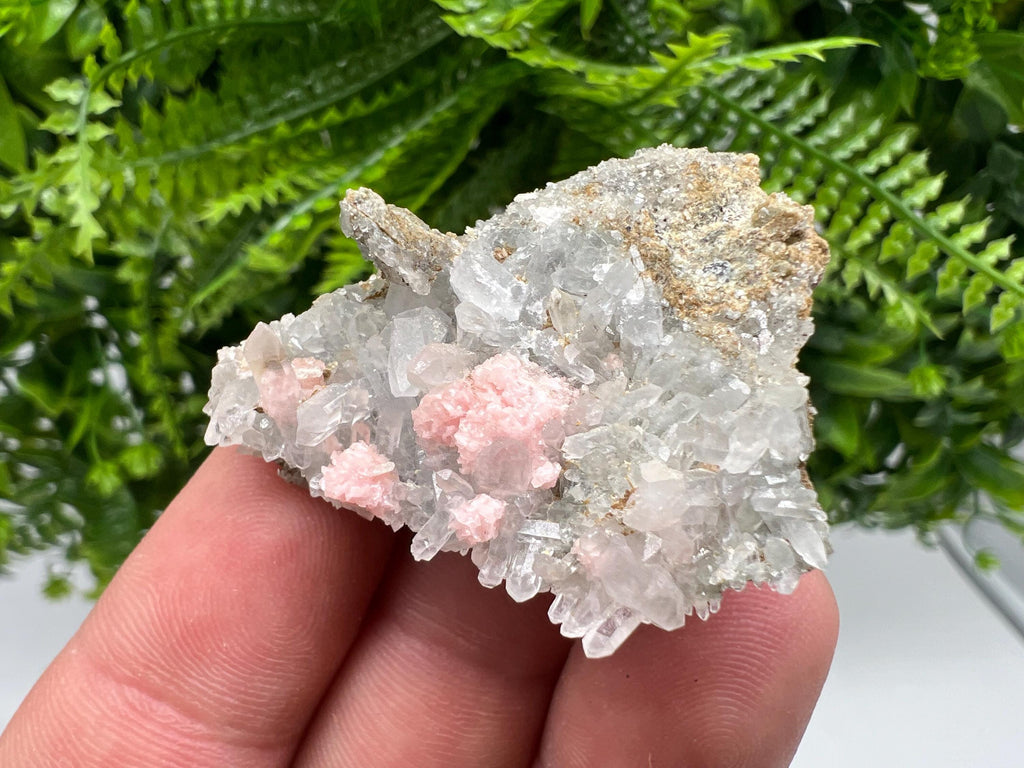 Pink Rhodochrosite Specimen: Starnica Mine, Bulgaria