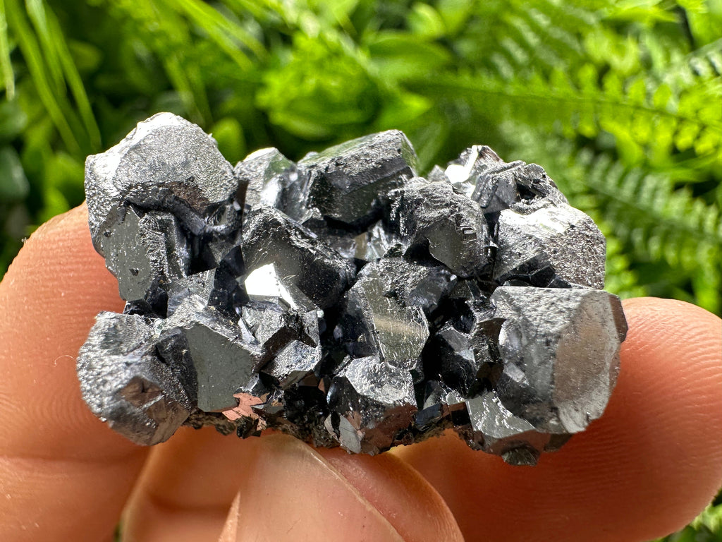 Shiny Galena Cluster: Borieva Mine, Madan, Bulgaria