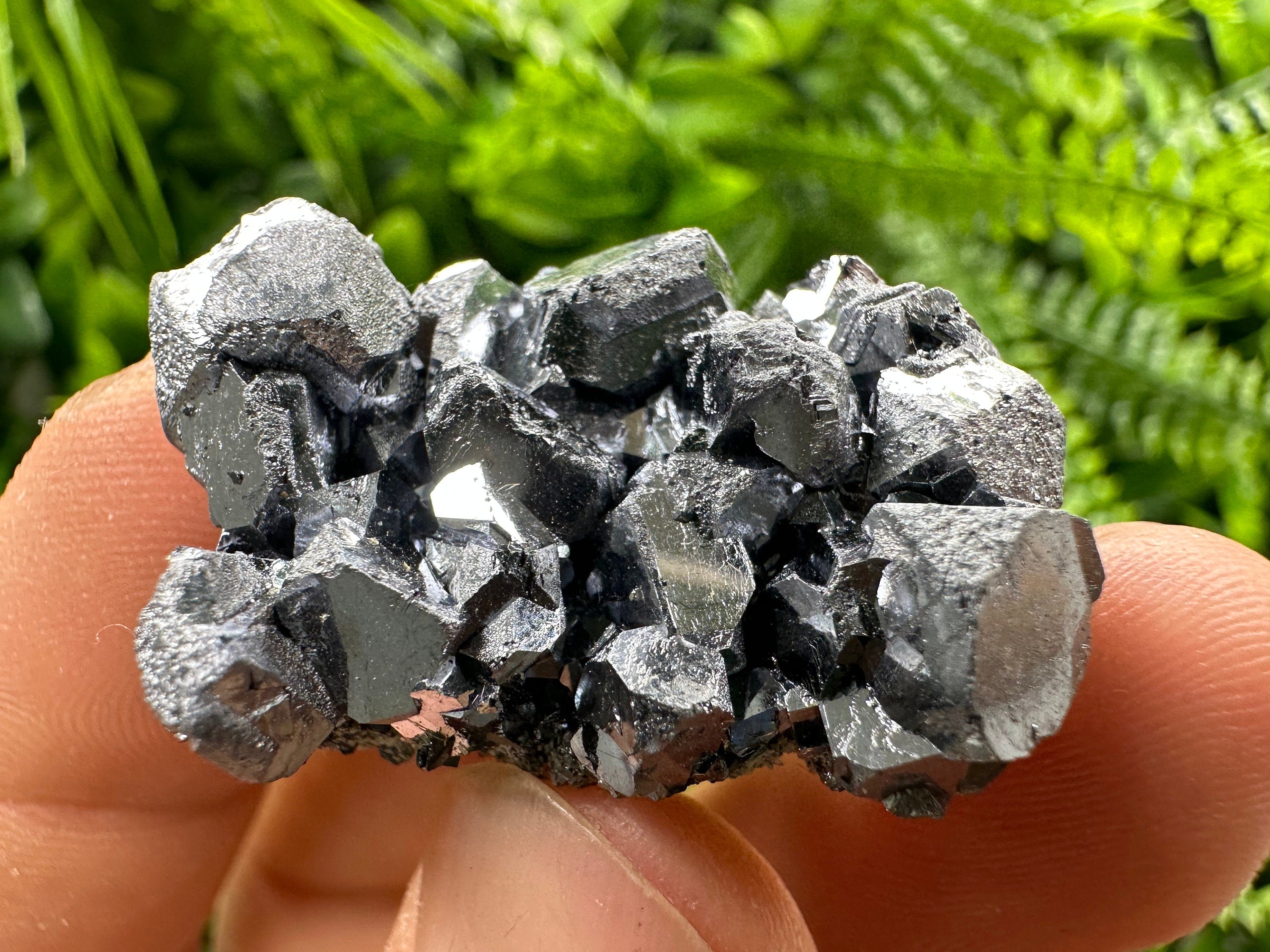 Shiny Galena Cluster: Borieva Mine, Madan, Bulgaria