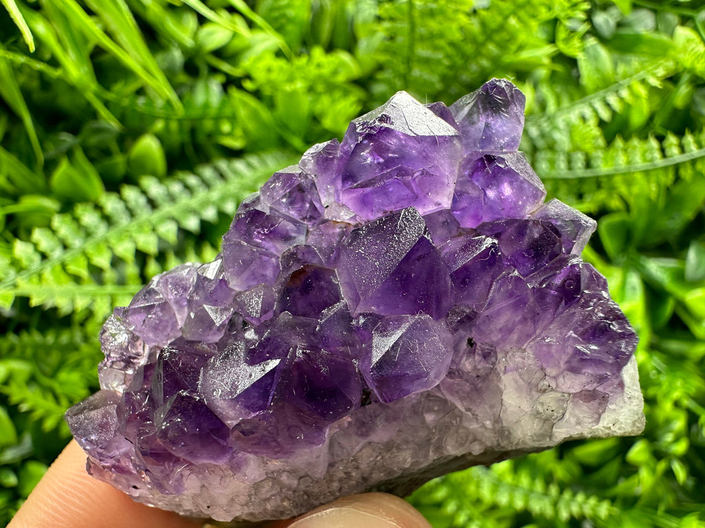 Uruguay Amethyst Cluster: Purple Quartz Crystal, Home Decor