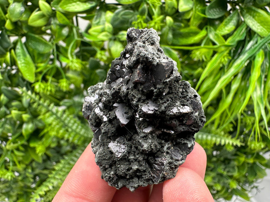 Sphalerite Galena with Chlorite Mineral Specimen, Bulgaria