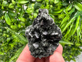 Sphalerite Galena with Chlorite Mineral Specimen, Bulgaria